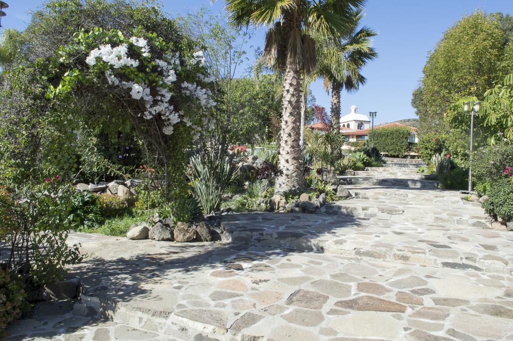 Quinta Santa Teresa Villa & Suites Ensenada Eksteriør billede